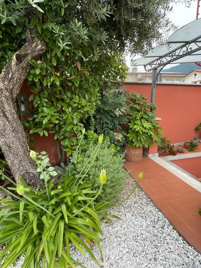 In Versilia Seravezza Appartamento