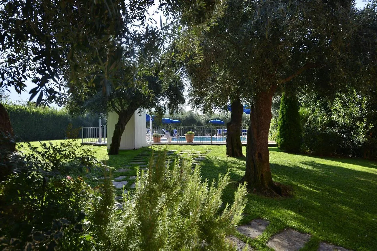 In Versilia セラヴェッツァ