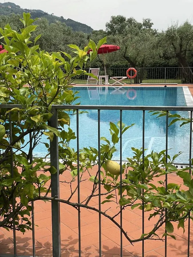 In Versilia セラヴェッツァ